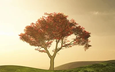 Designing in Context – A Perspective from Ancient India