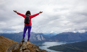 726503000027087508_10_1705483776472_carhartt - Incture Technologies